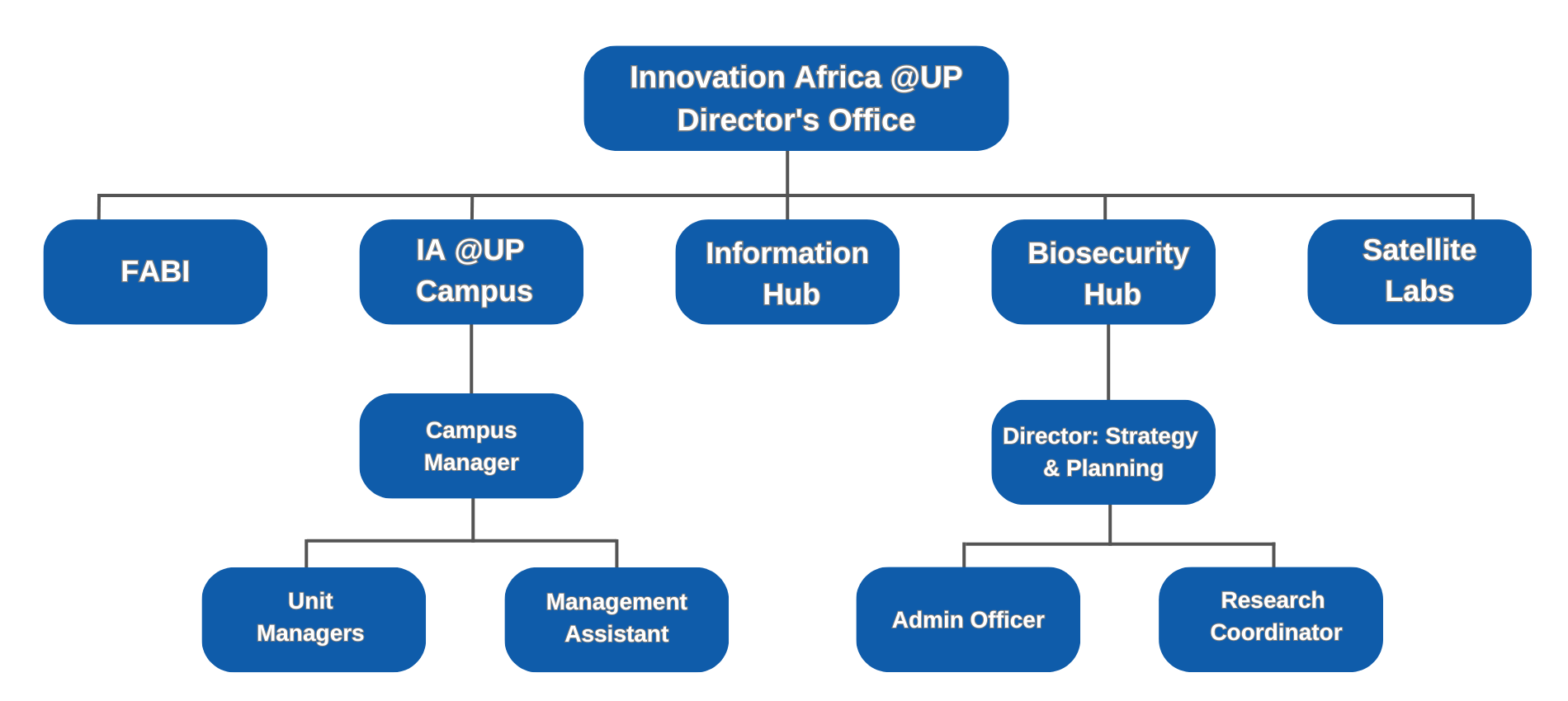 Organigram of Innovation Africa @UP